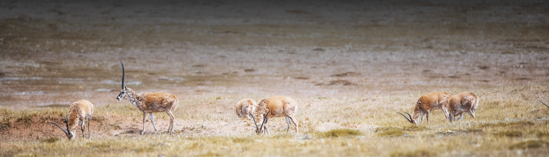 深圳市優(yōu)威視訊科技股份有限公司