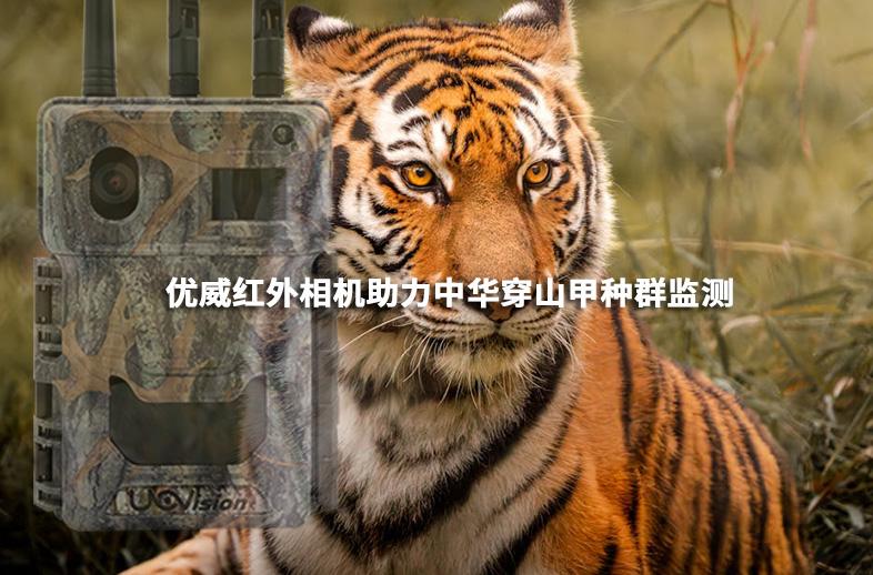  優威紅外相機助力中華穿山甲種群監測