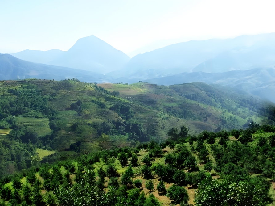 1727313621837925.png 微信截圖_20240926090048.png