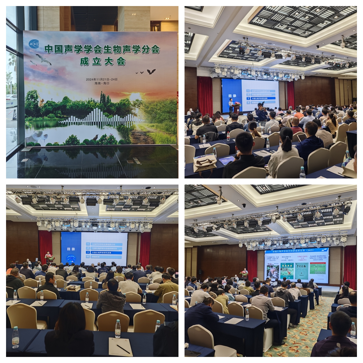 1732606233597348.jpg 6.jpg