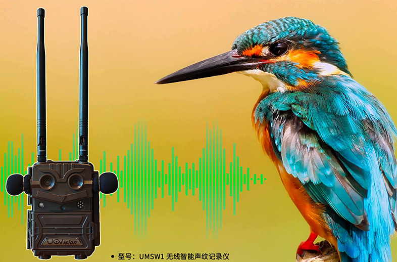 優威聲紋記錄儀：AI+聲紋技術如何重塑野生動物監測的邊界？