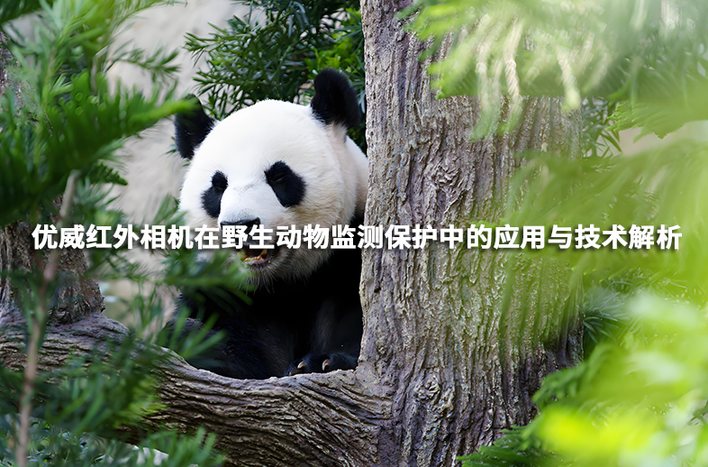 優威紅外相機在野生動物監測保護中的應用與技術解析