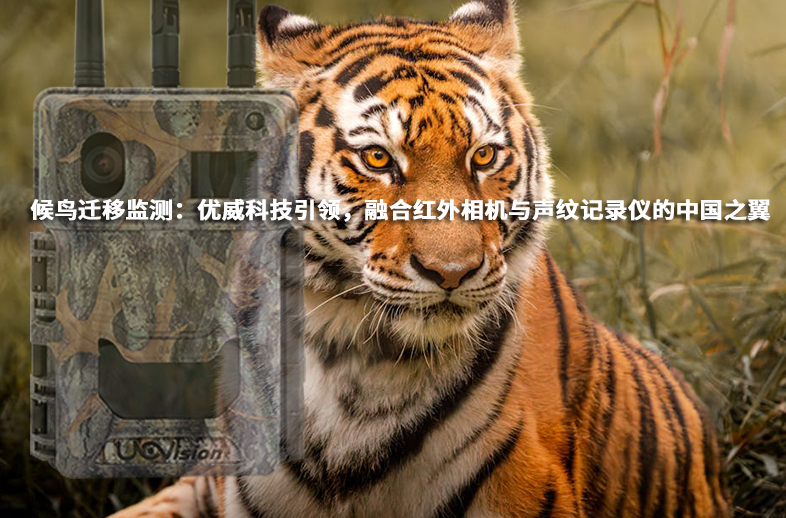 候鳥遷移監測：優威科技引領，融合紅外相機與聲紋記錄儀的中國之翼