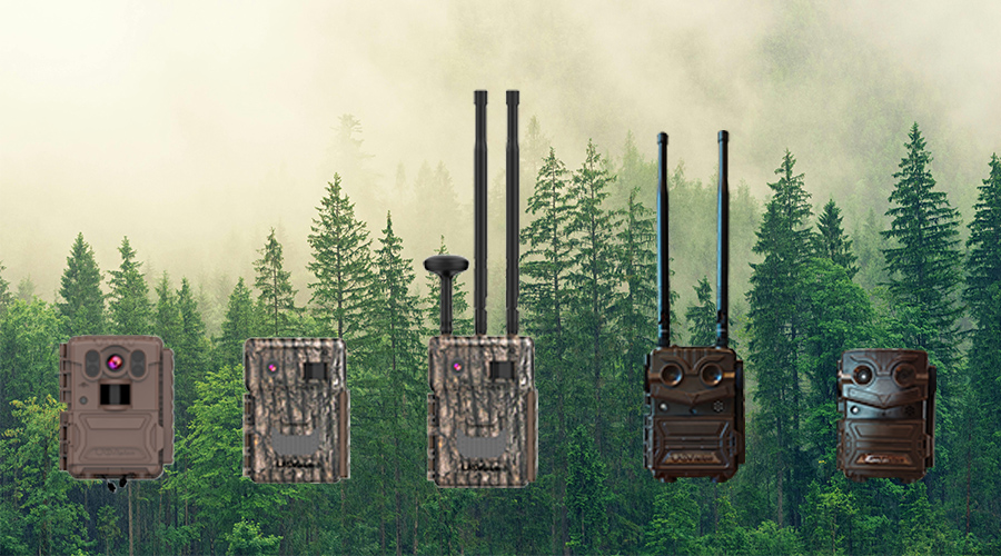 1741579004698952.jpg 未標題-1.jpg