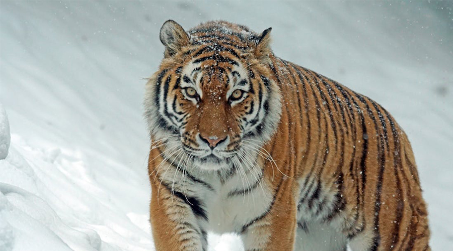 1741579124223483.jpg 未標題-4.jpg