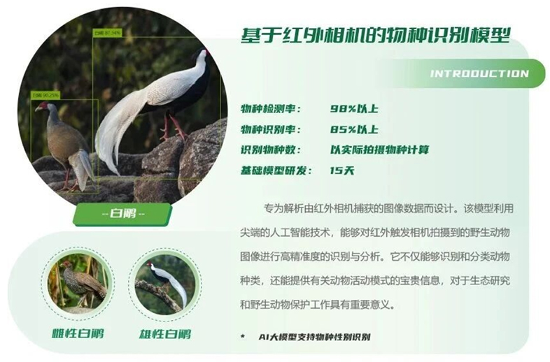 優威視訊AI物種識別模型：紅外相機+聲紋技術推動生物多樣性科研進入智能時代