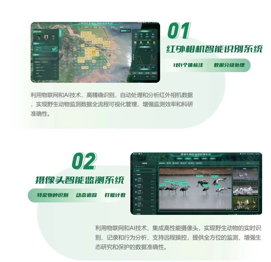 1756966069872975.png 1.png